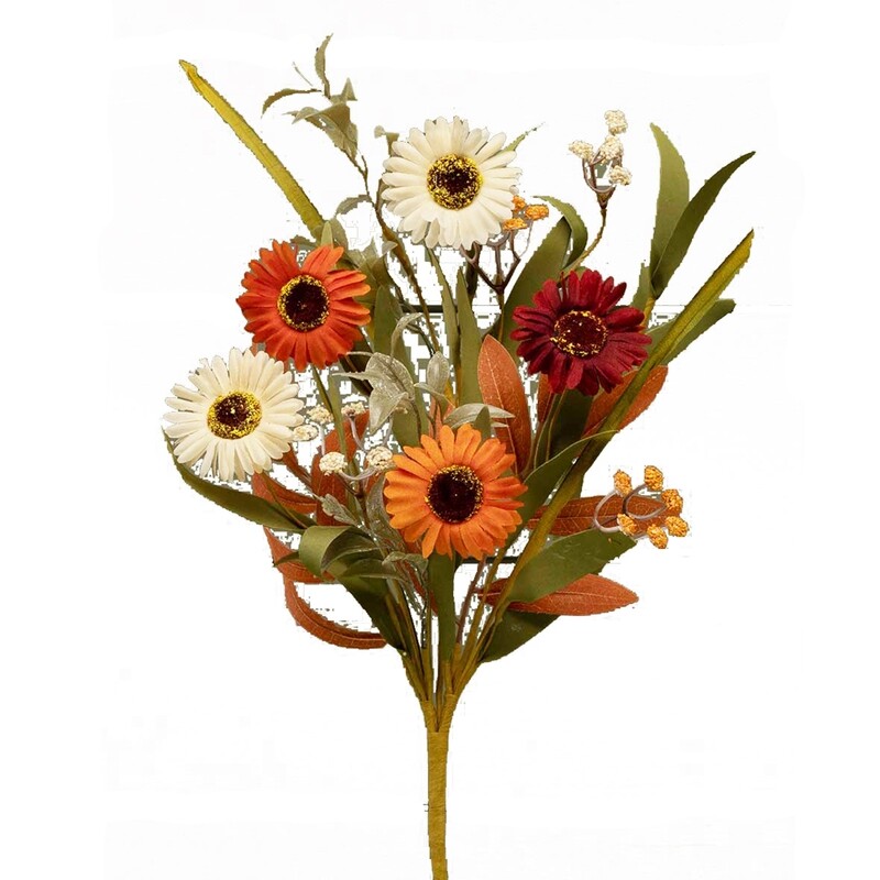 1BF871 Fall Daisies
