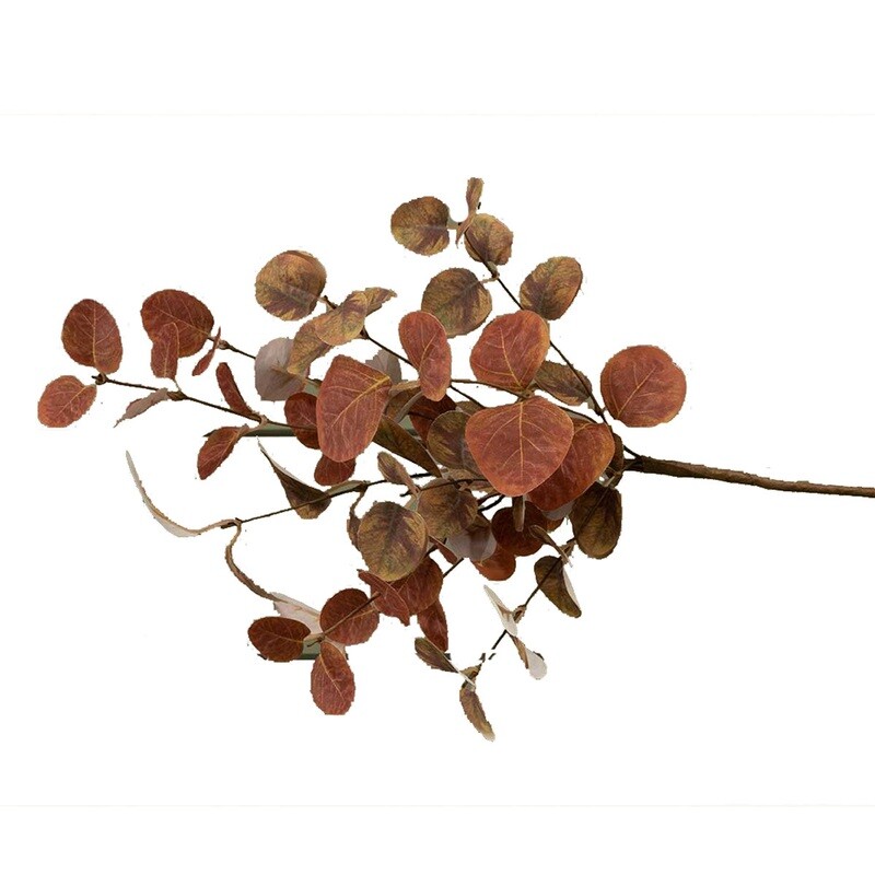 1BF870 Brown Eucalyptus Bunch