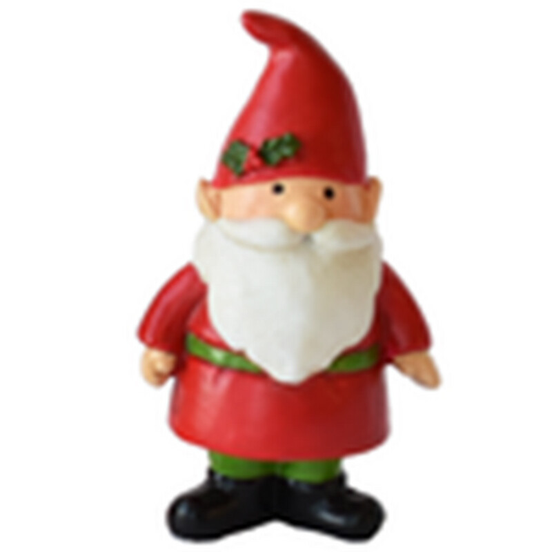 XM243 Gnome