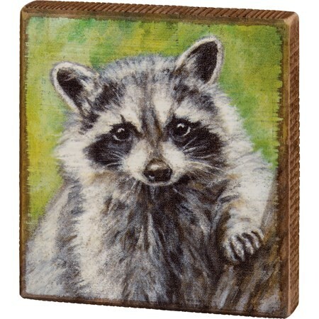 AC241 Coon