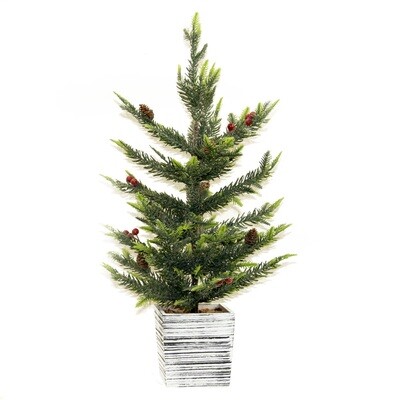 1BW288 Potted Pine Tree