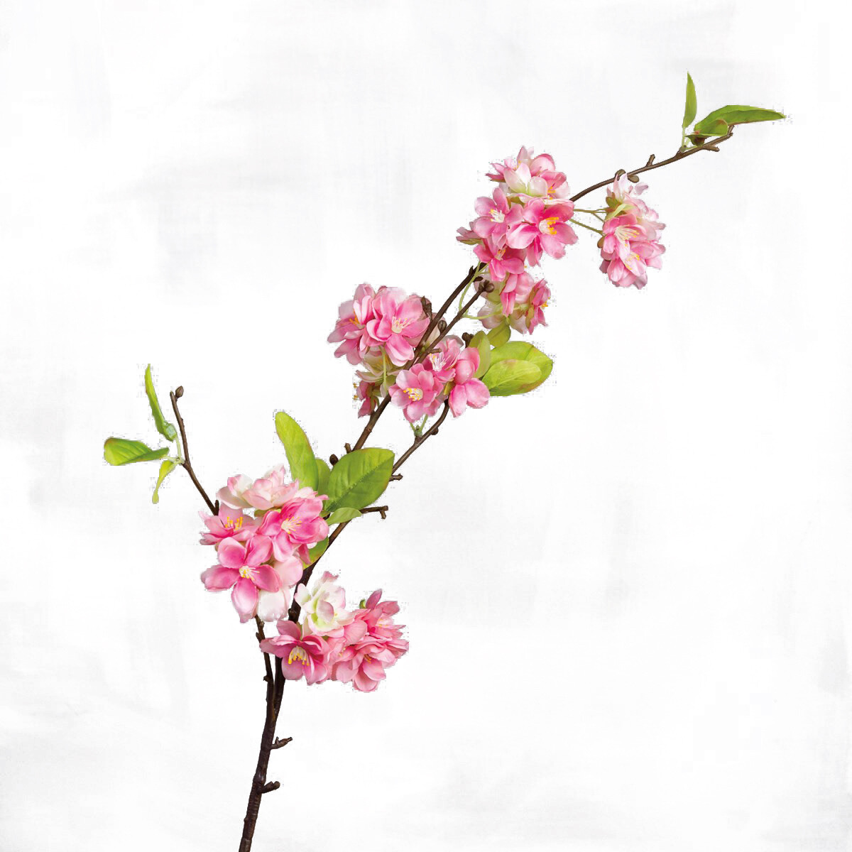 1B216 Pear Blossom Branch