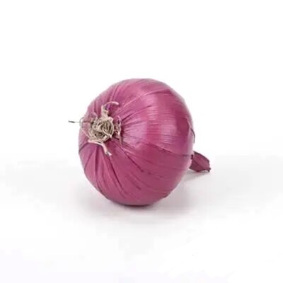 LG097 Red Onion