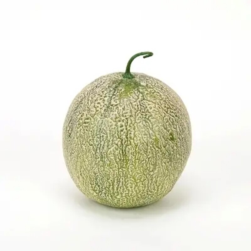LG095 Canteloupe