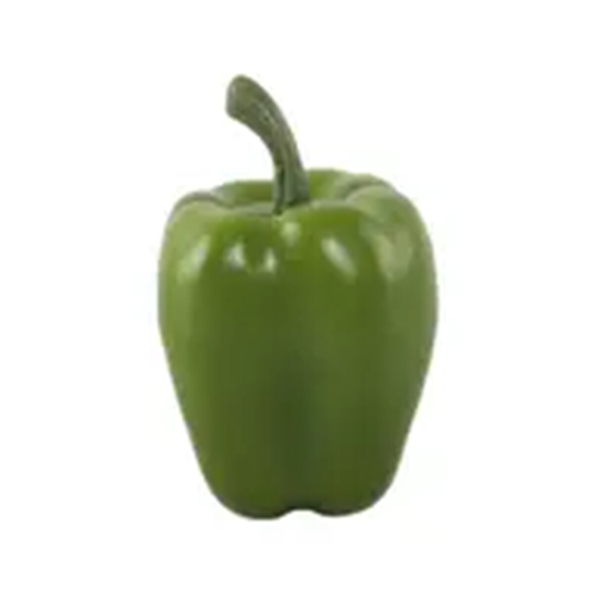 LG101 Pep