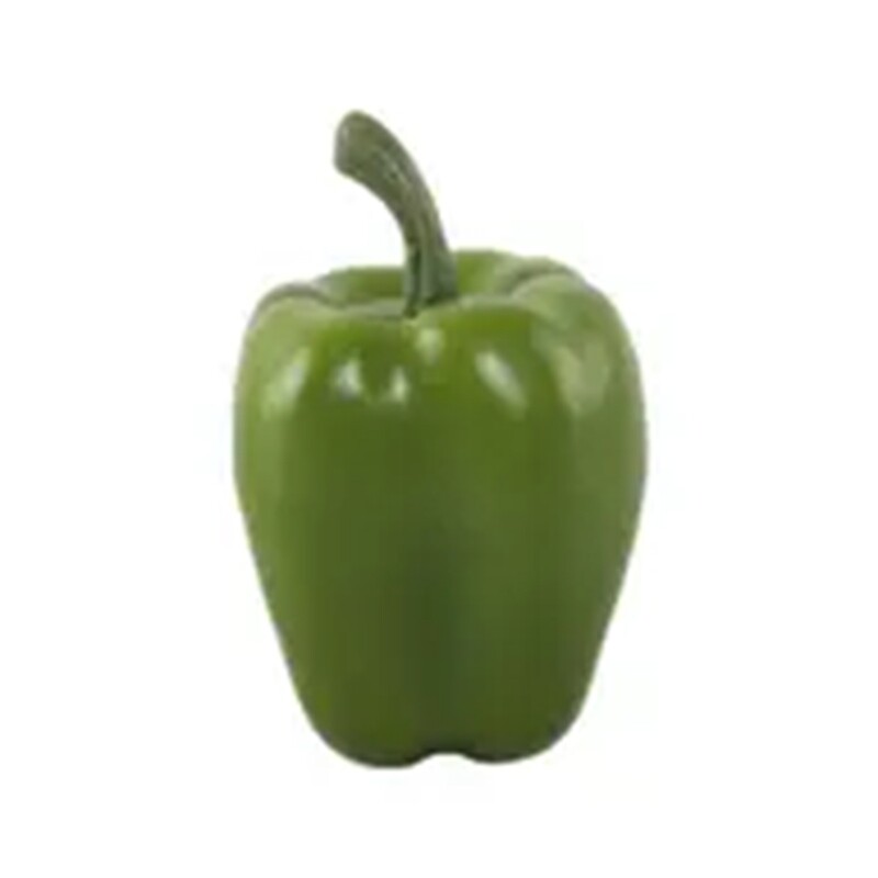 LG101 Pep