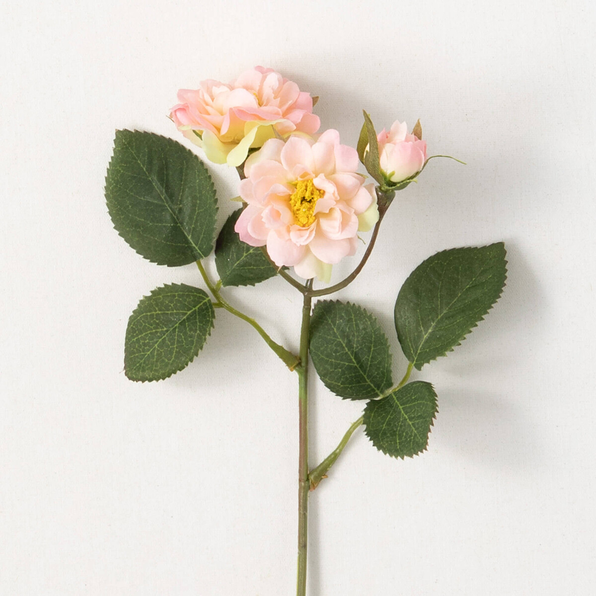1B222 Blush Rose, Colors: Blsh