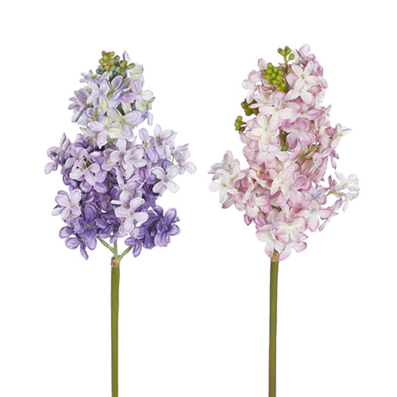 1B224 Lilac Stem