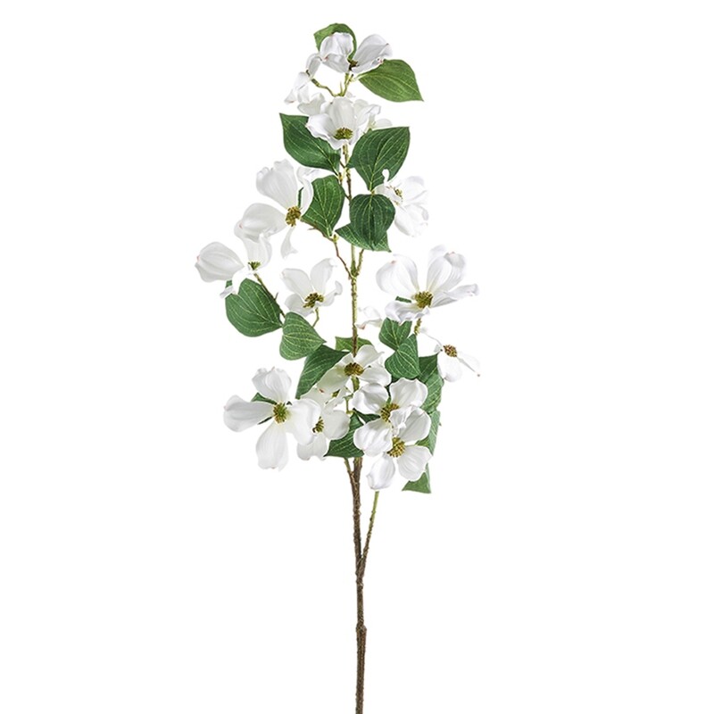 1B226 White Dog Wood Spray