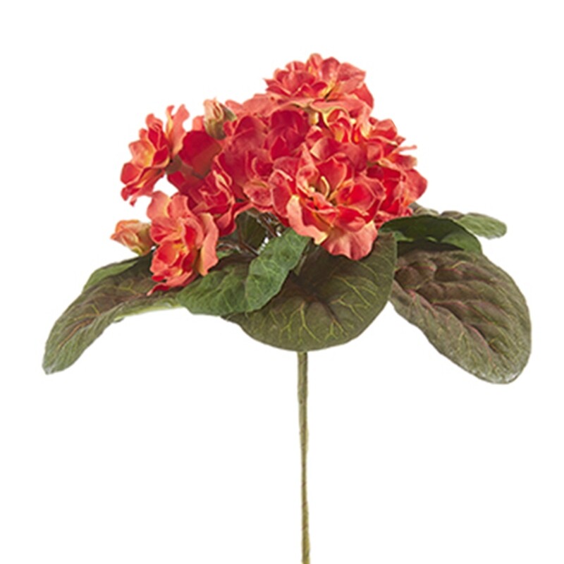 1B230 Tangerine Violet Bush