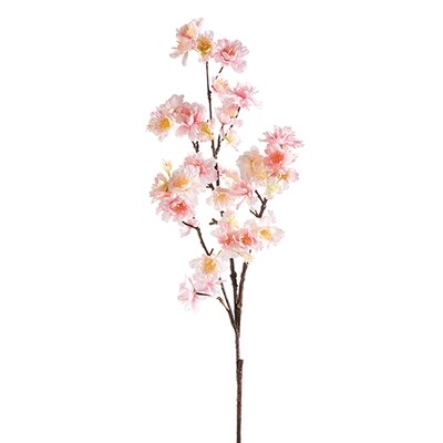 1B236 Cherry Blossom Branch