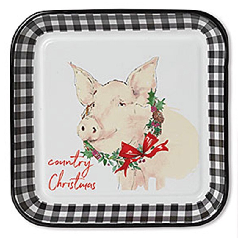 XP042P PigTray