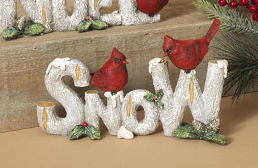 XR176 Snow Card