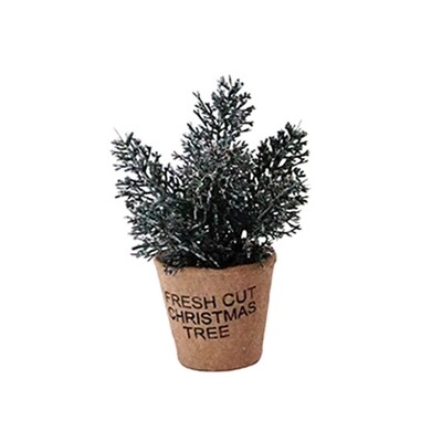 1BW305 Potted Baby Tree