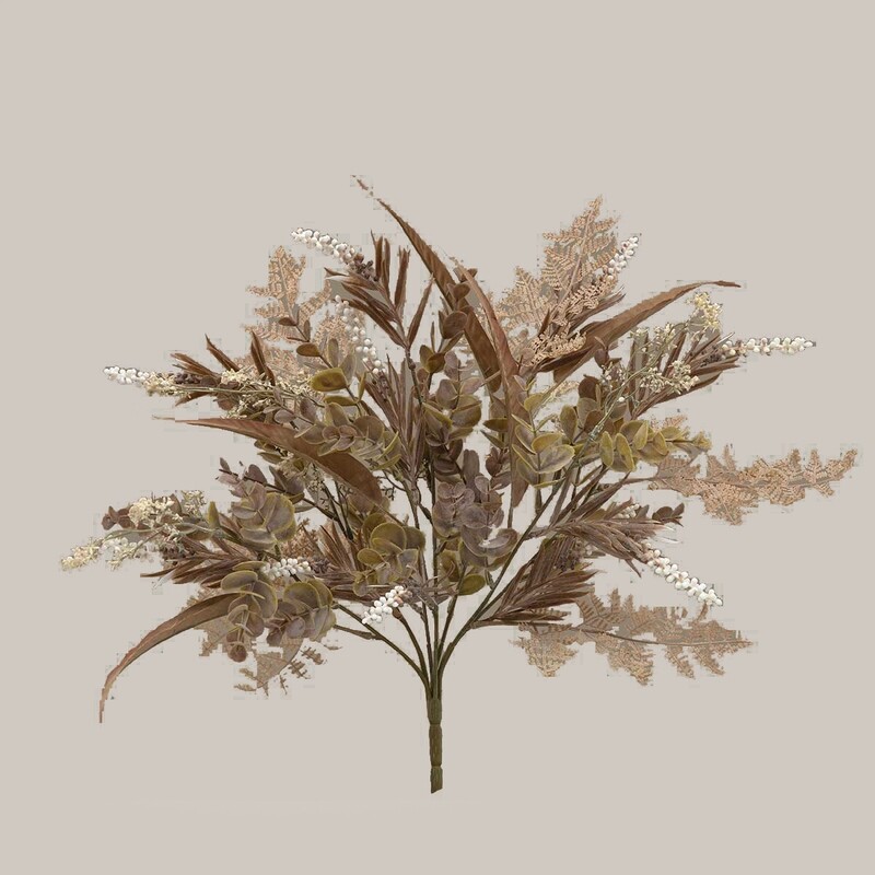 1BF154 Eucalyptus