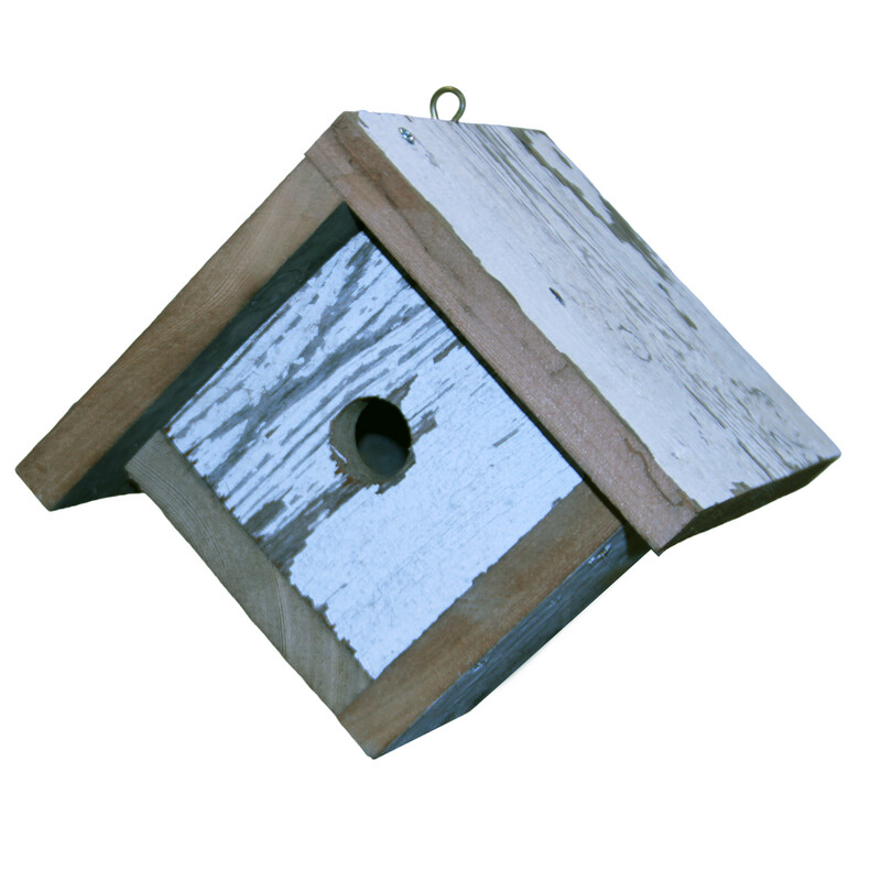 4B901 Blue Bird house