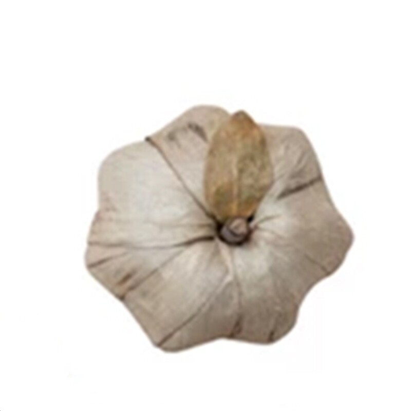 FL105 BLPmp