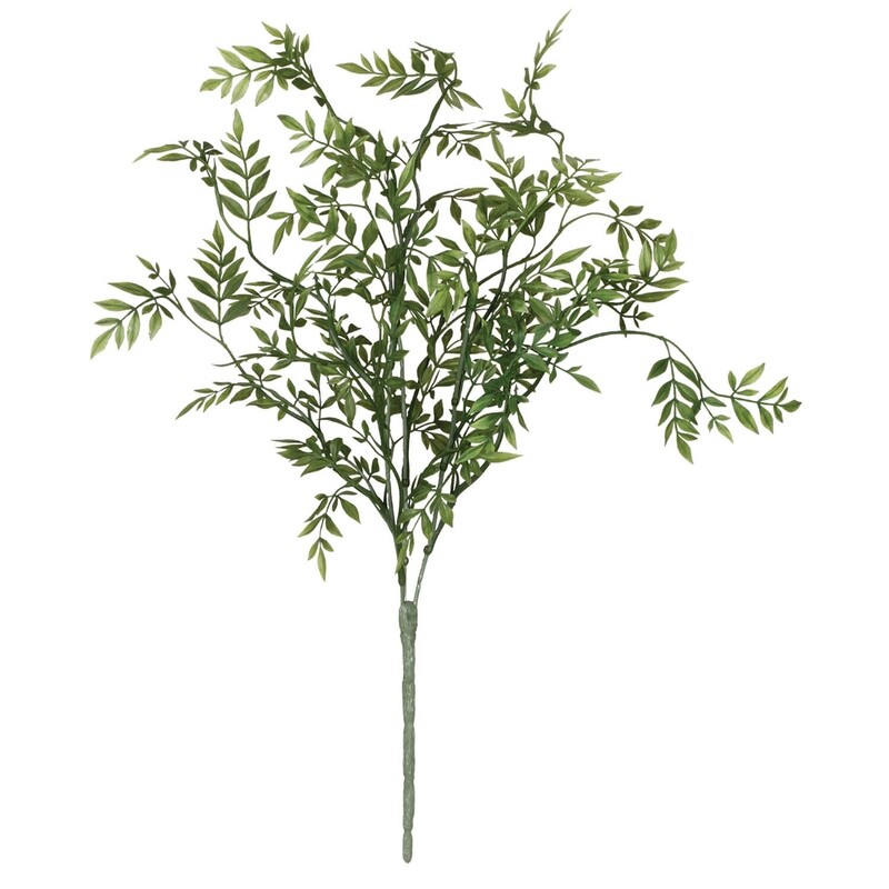 1B245
