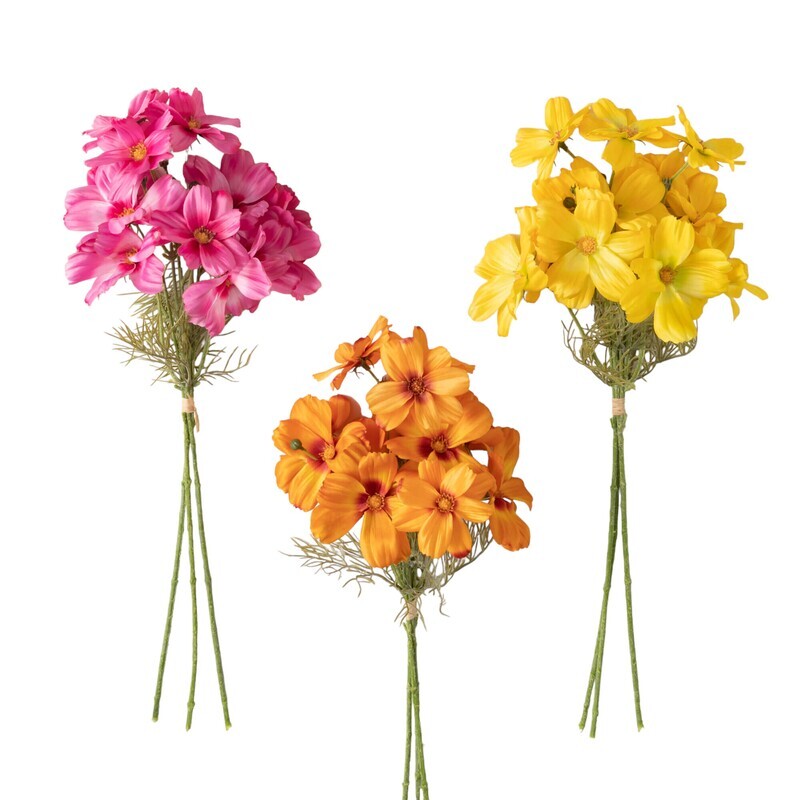 1B247 Cs Bright Cosmos Bush