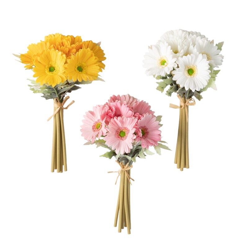 1B248 Dsy Cheerful Daisy Bush