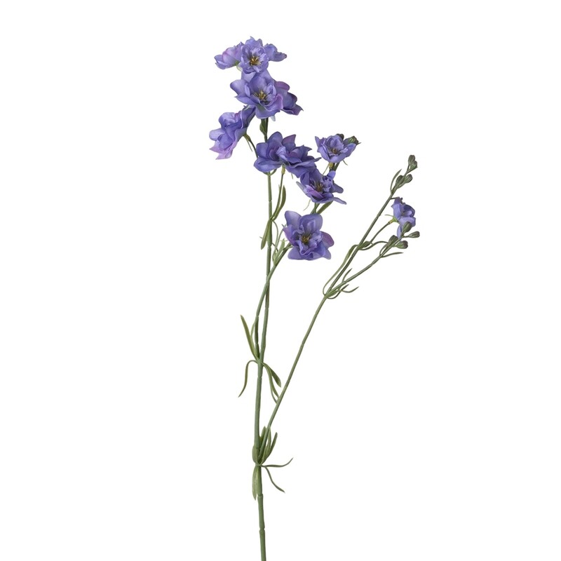 1B255 LarkL Larkspur Spray