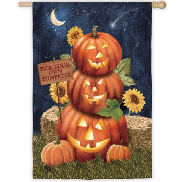 DO195F Reversible Pumpkin House Flag