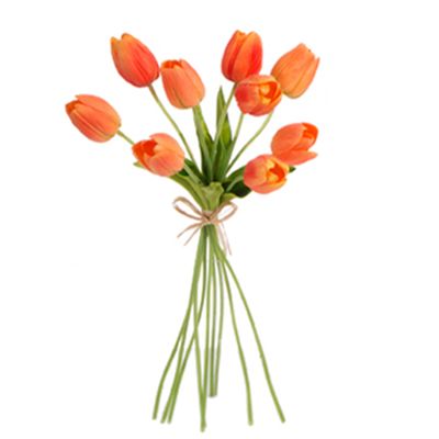 1B069 Tulip Spr Bnch