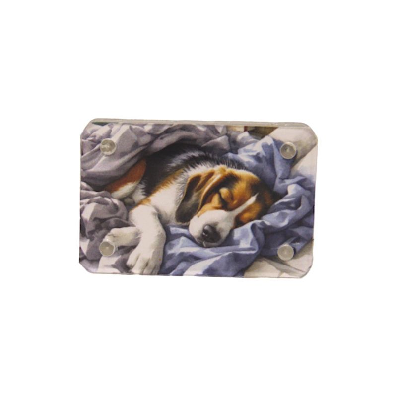 Z507ABP Sleeping Dog Picture Small