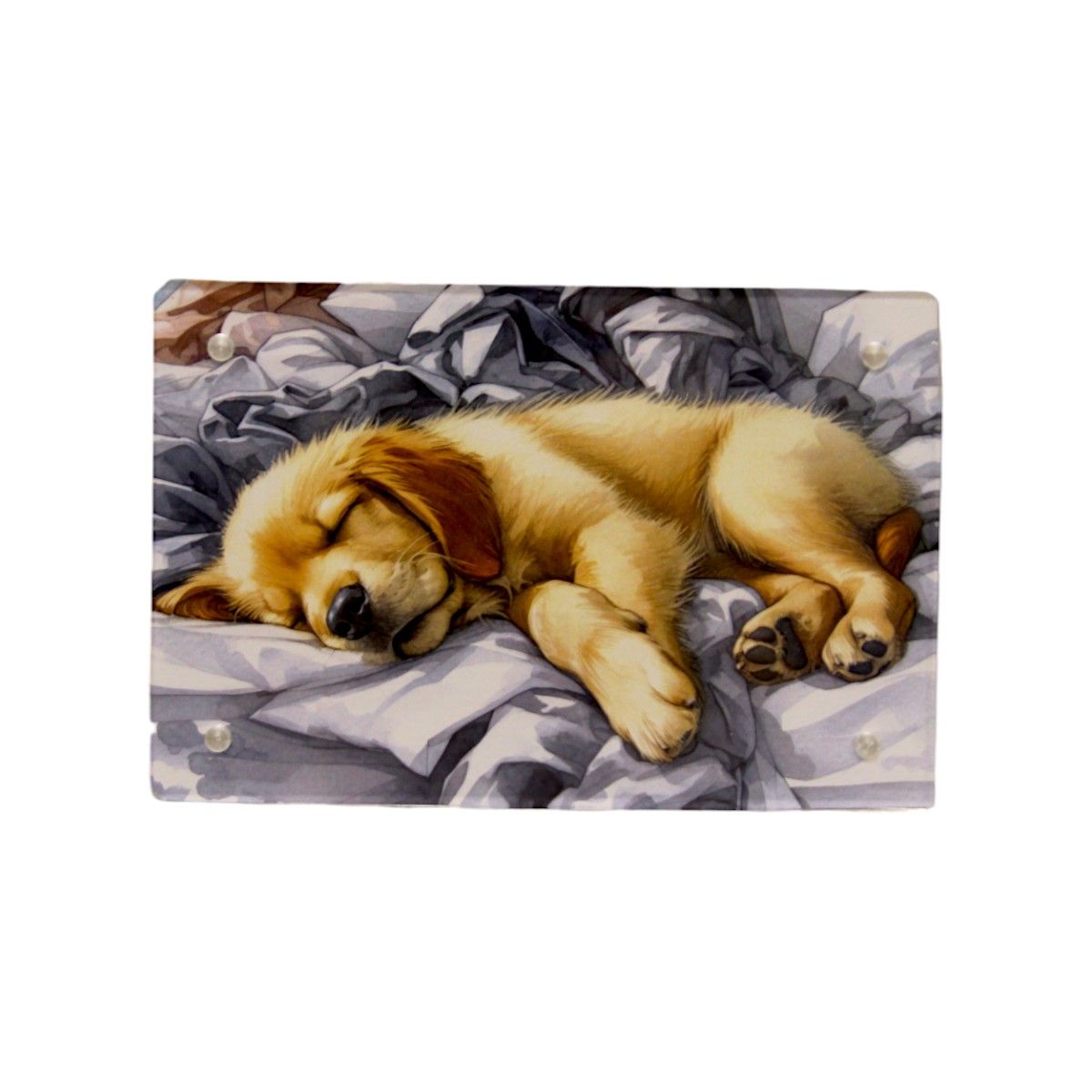 Z507ABL Sleeping Dog Picture Large