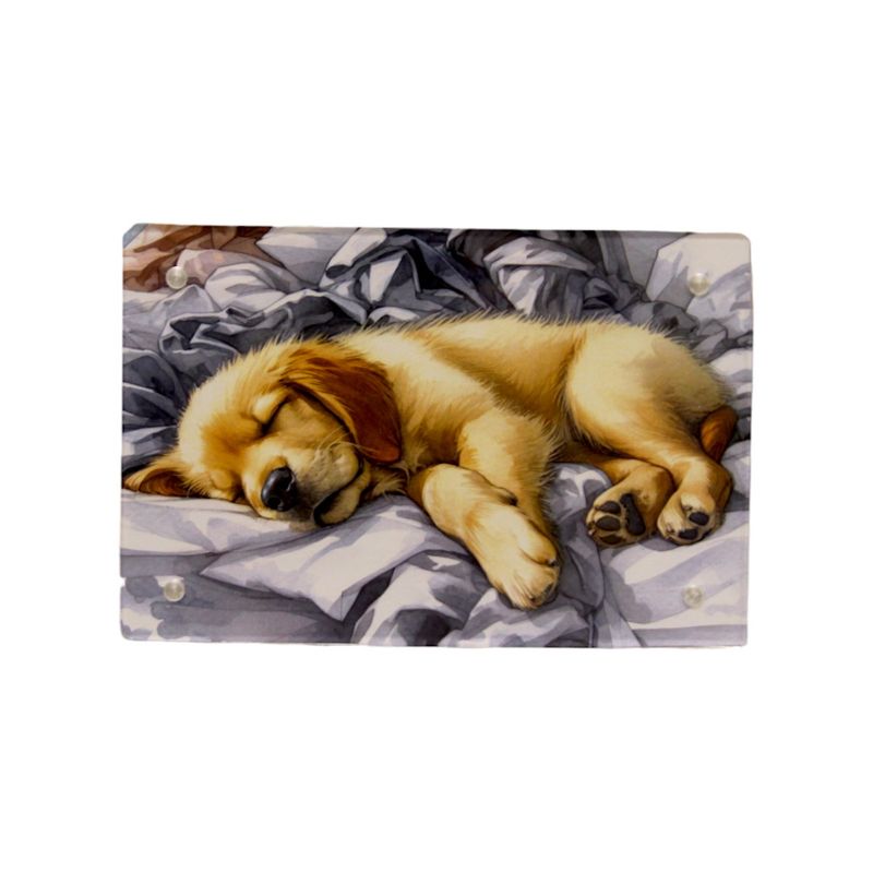 Z507ABL Sleeping Dog Picture Large