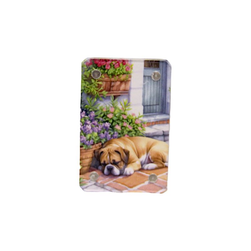 Z506ABP Small Dog Picture in Magnetic Block