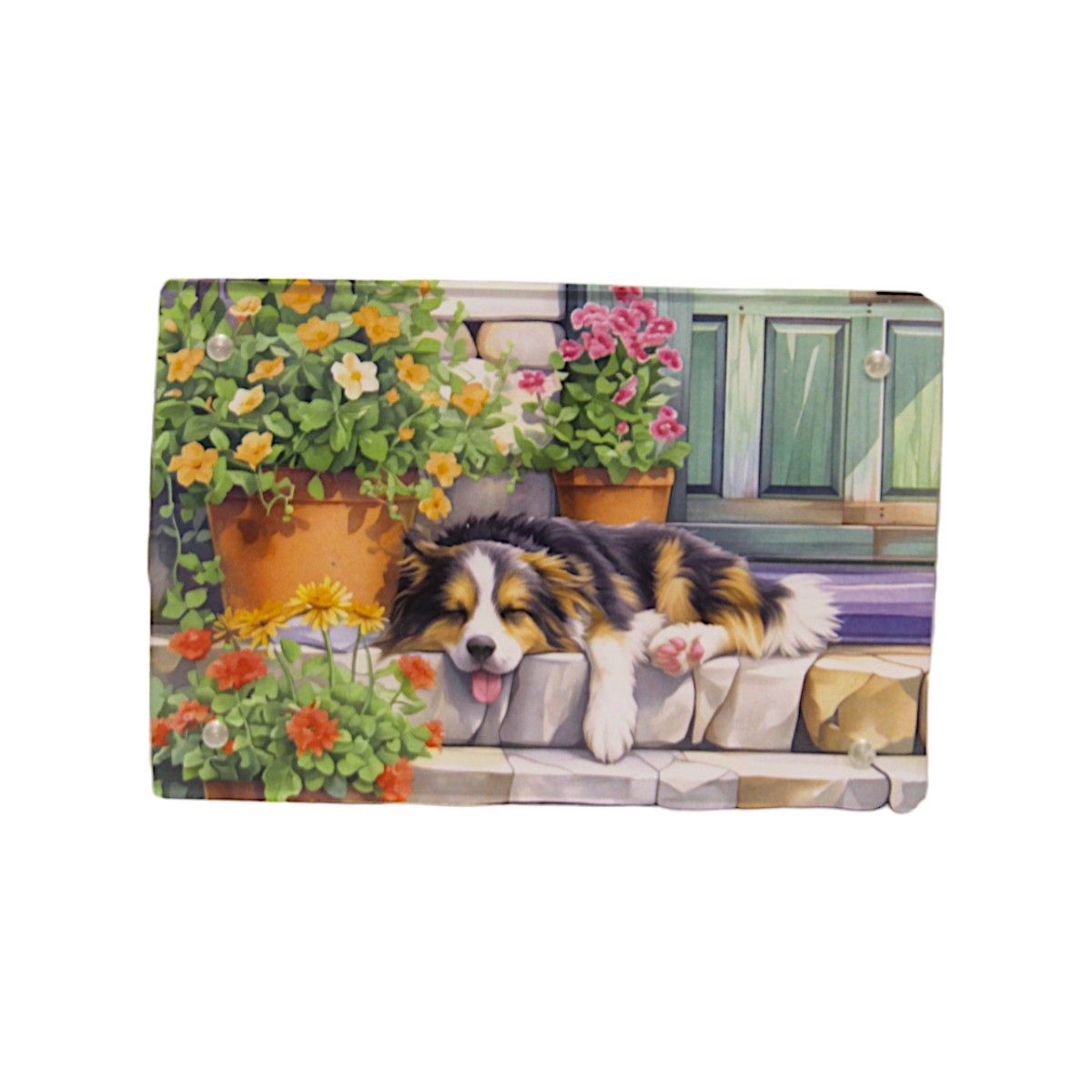 Z506ABL Large Magnetic Frame of Sleeping Dog