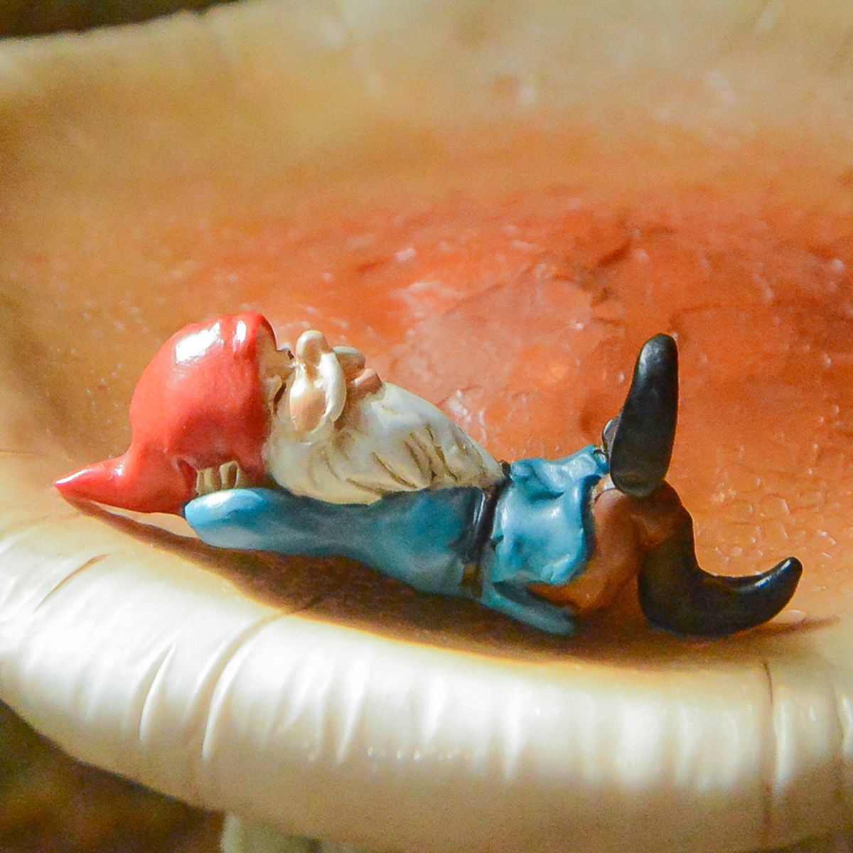 MN104 Gnome Relaxing