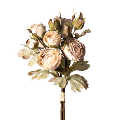 1BF879 Ran 1BF879 Ran