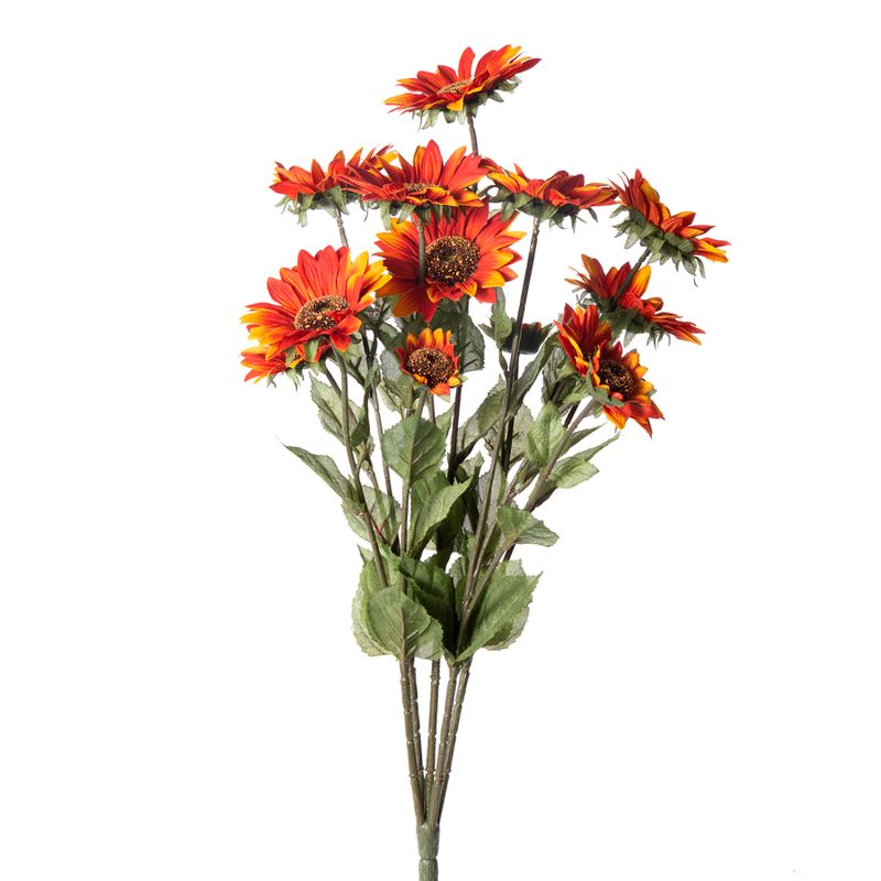 1BF884 Sunflower Fall Picks