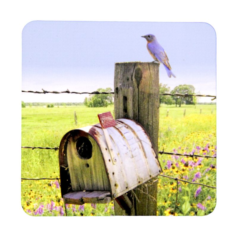 KC1IABdC Iowa Bird Coaster