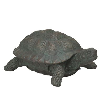 GC133 Turtle