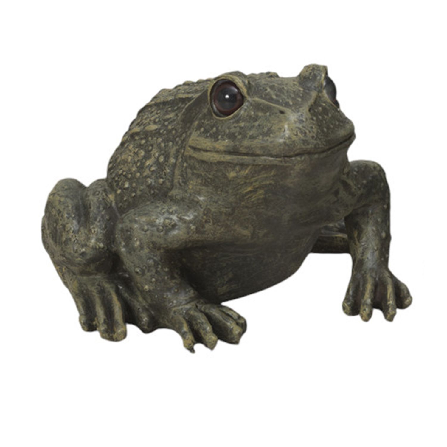 GC138 Frog