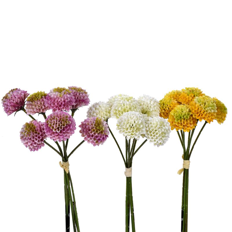 1B296 Dahlia Small Pick