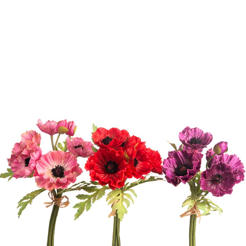 1B281 Poppies