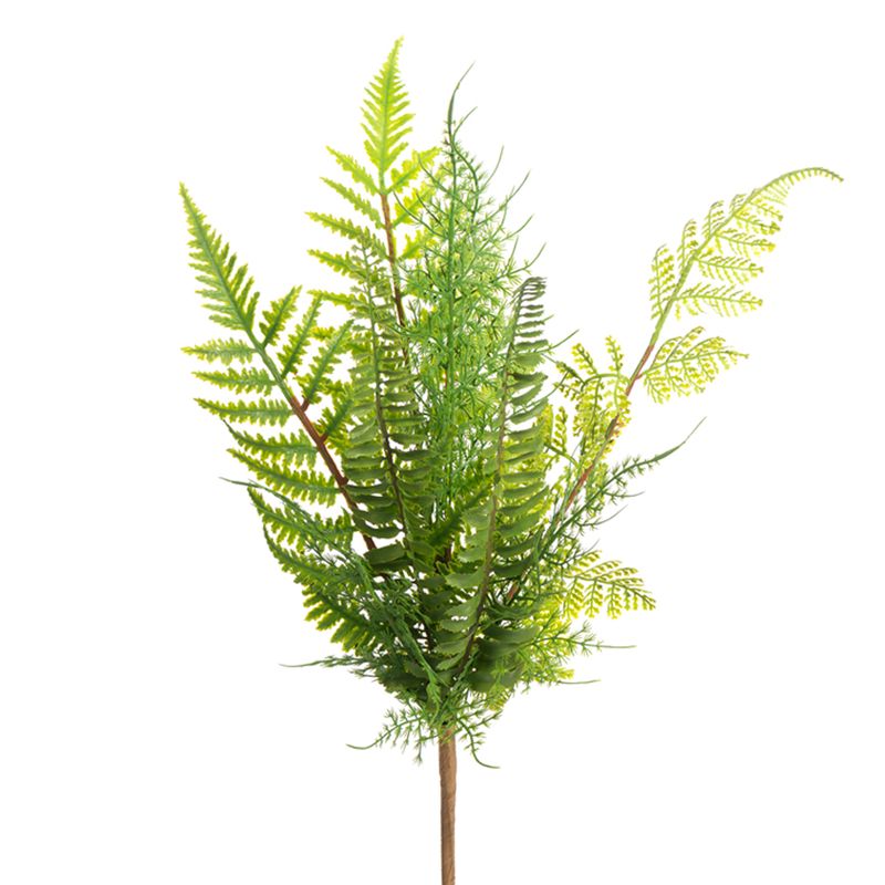 1B291 Fern