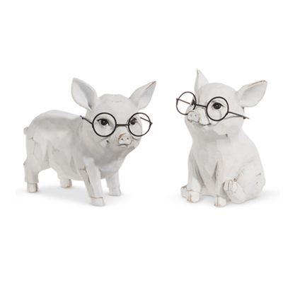 DF137 Studious Pigs
