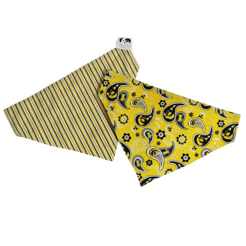 KL893D Iowa Paisley Dog Collar Bandana