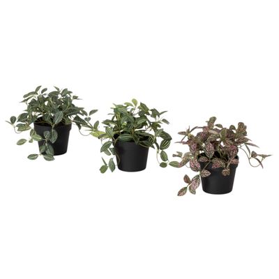 1B271 Potted Foliage