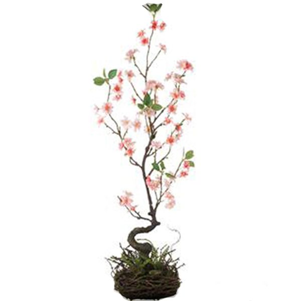 1B732 Spring Tree