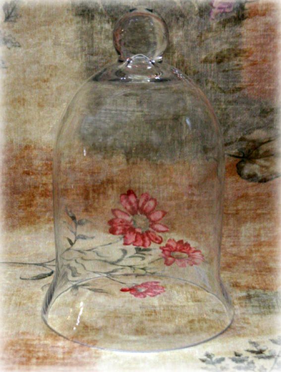 DO328 9inch Clear Glass Cloche Dome