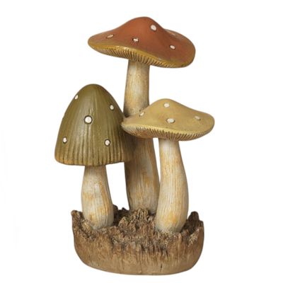 AC306 Harvest Mushrooms