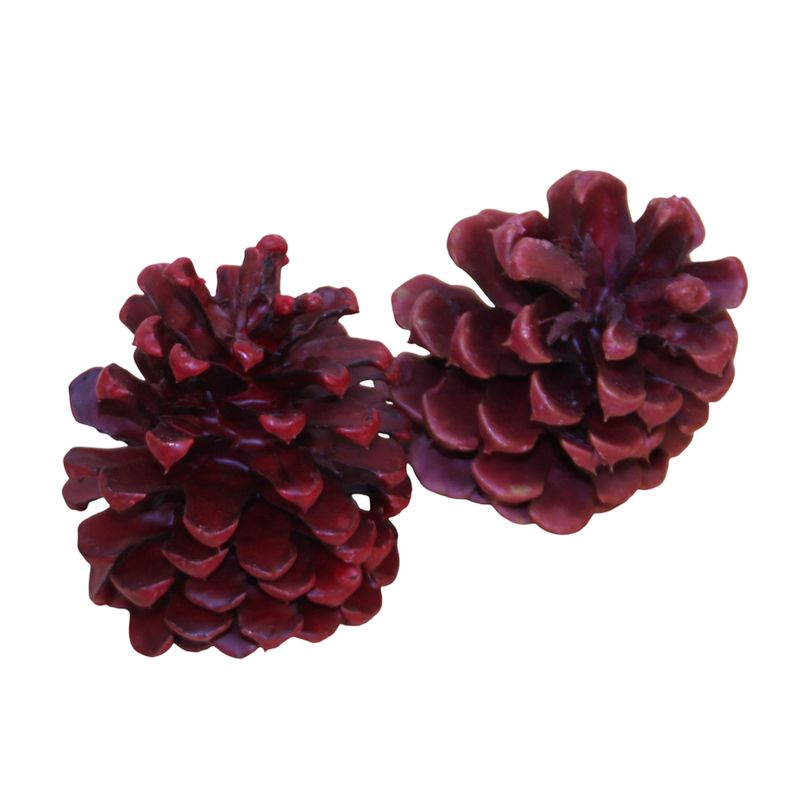 ZMS Scented Wax DIpped Pine Cones