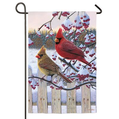Natures Grace Cardinal