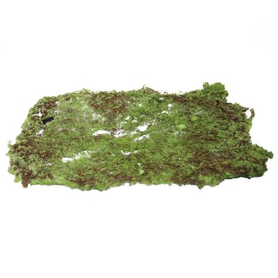 FA225 Moss Rectangle
